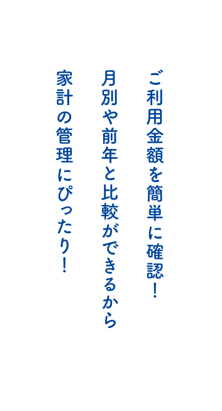 ご利用金額を簡単に確認！月別や前年と比較ができるから家計の管理にぴったり！